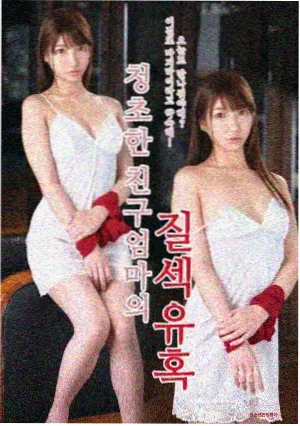剧集长巷晚灯封面